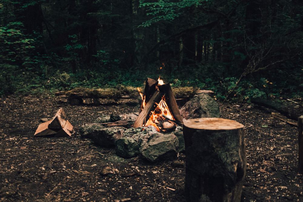 A campfire surrounded by log benches