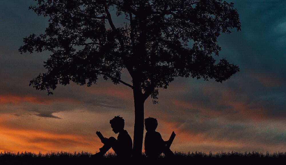 Two boys sat under a tree reading books