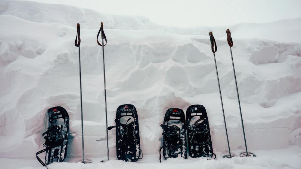 Two sets of snowshoes and poles resting vertically in the snow