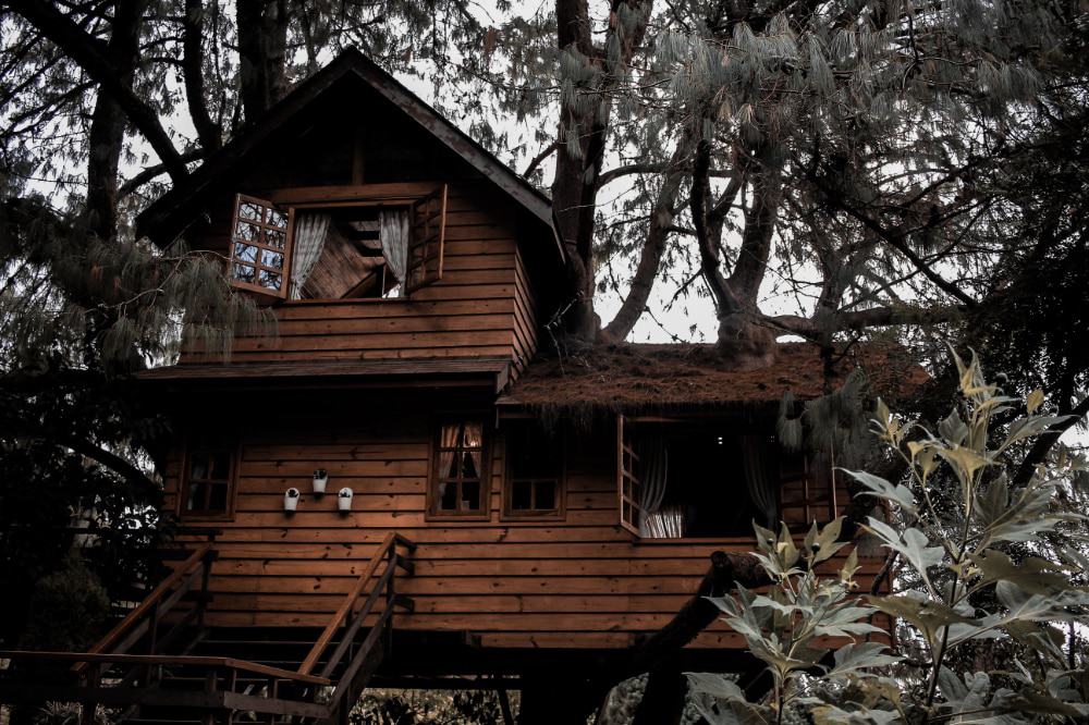 A treehouse nested among the branches with electricity and other modern amenities 