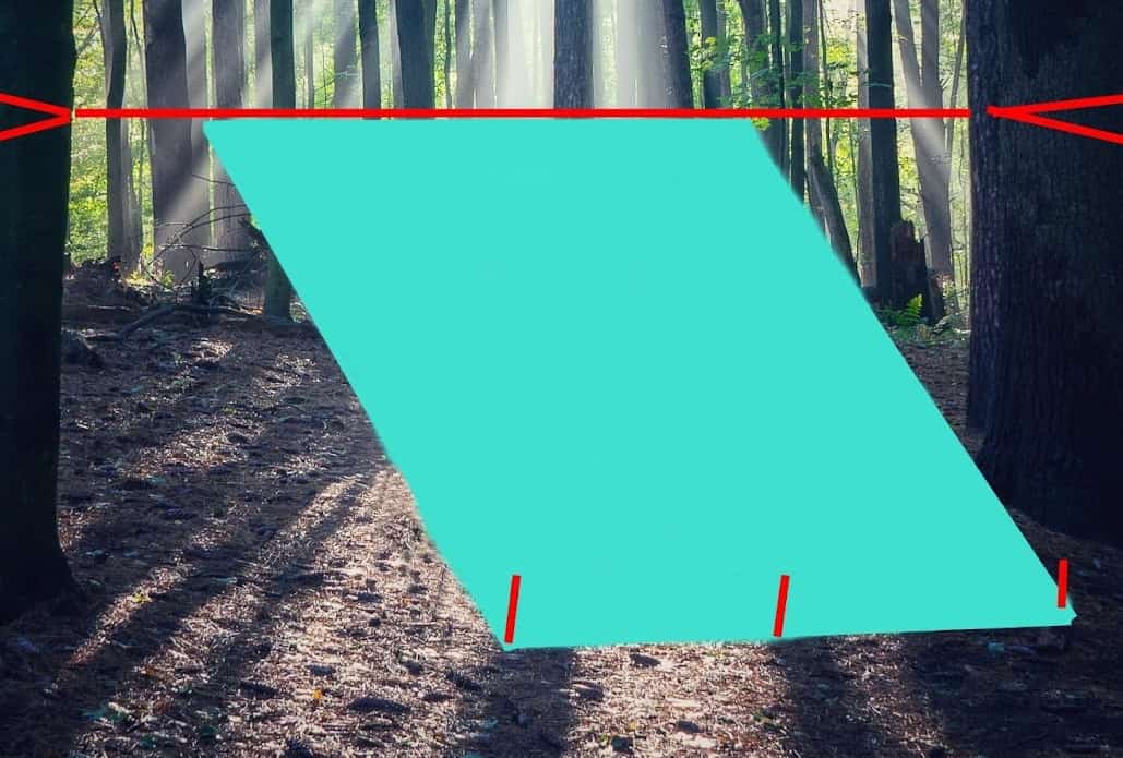 Basic lean-to tarp structure on a forest background.