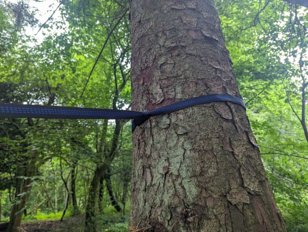 The hammock straps are safe for trees